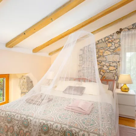 Ala Case de vacanță *