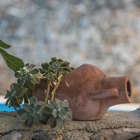 Ala Prázdninový dům